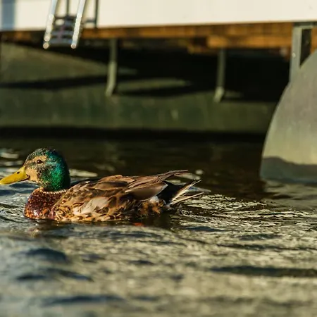 Hébergement de vacances Aegir - Stern Hausboot